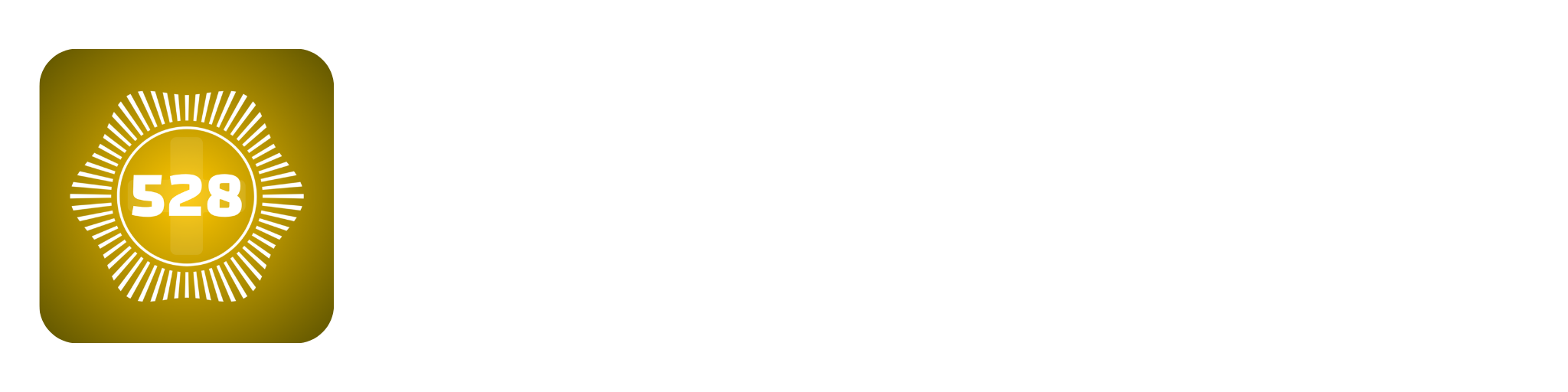 528 Player Plus